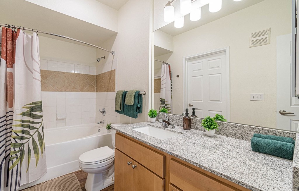 Luxurious Bathroom Luxurious Bathroom at Capitol Crossing, Austin